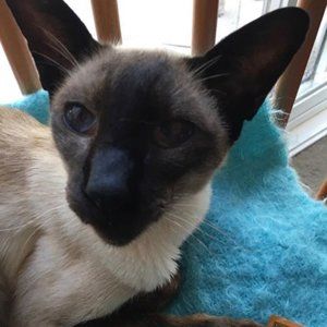 Meet your Posher, Barbara